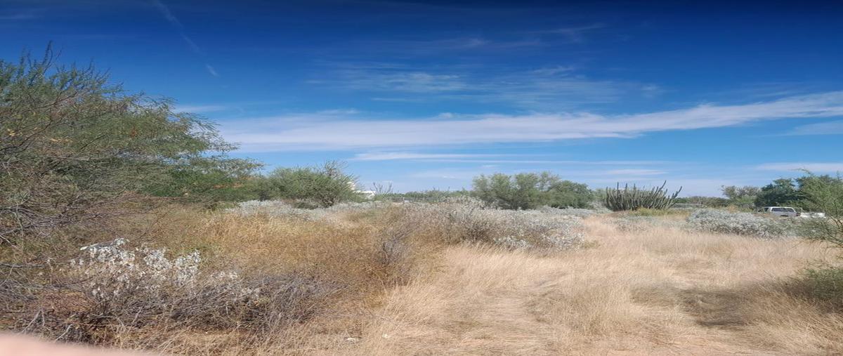 Foto de terreno habitacional en venta en tierras nuevas , real del alamito [fraccionamiento campestre], hermosillo, sonora, 25661810 No. 03